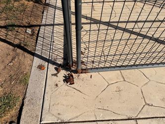 Cage
