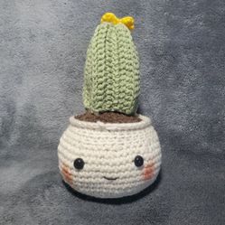 Plants/ succulents, crochets