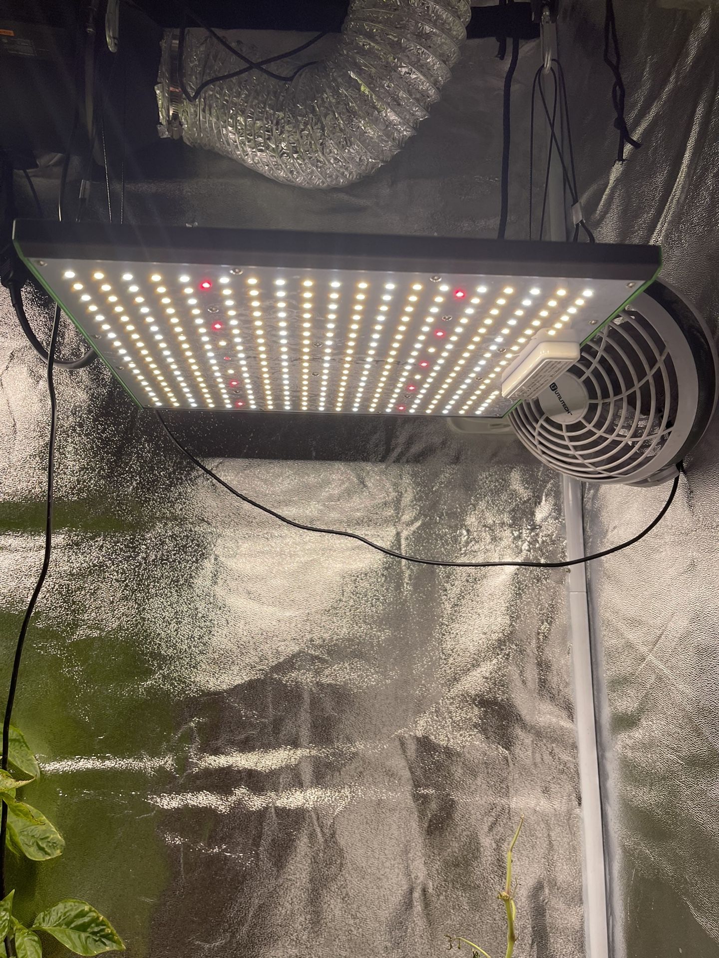 Grow Light