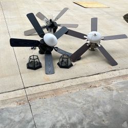 Ceiling Fans And Lights