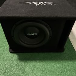 Skar 12 Inch Subwoofer 