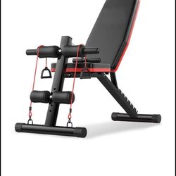 Dumbbell bench(NEW)