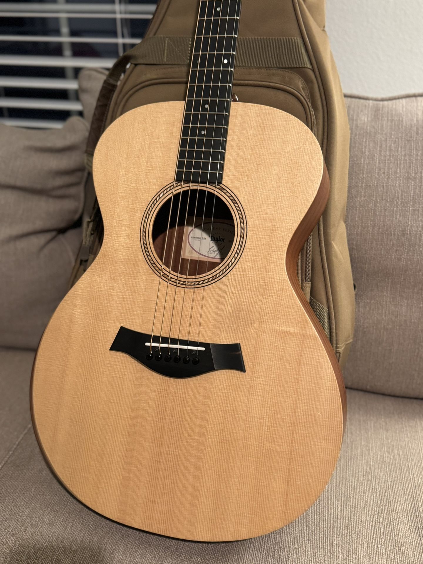 Taylor Academy 12e Grand Concert and Gig Bag