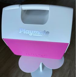 Igloo cooler