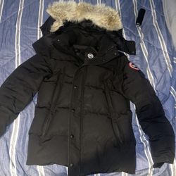 Black Canada Goose