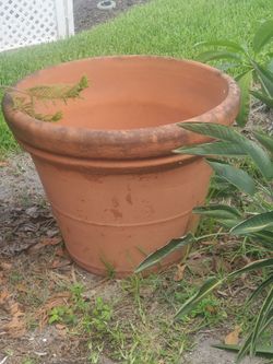 Large Clay Pot 35 x 30
