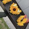 Dalia