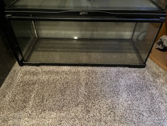 20 Gal (long) Tank With Screen Lid