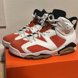 9.5 Jordan Gatorade 6s