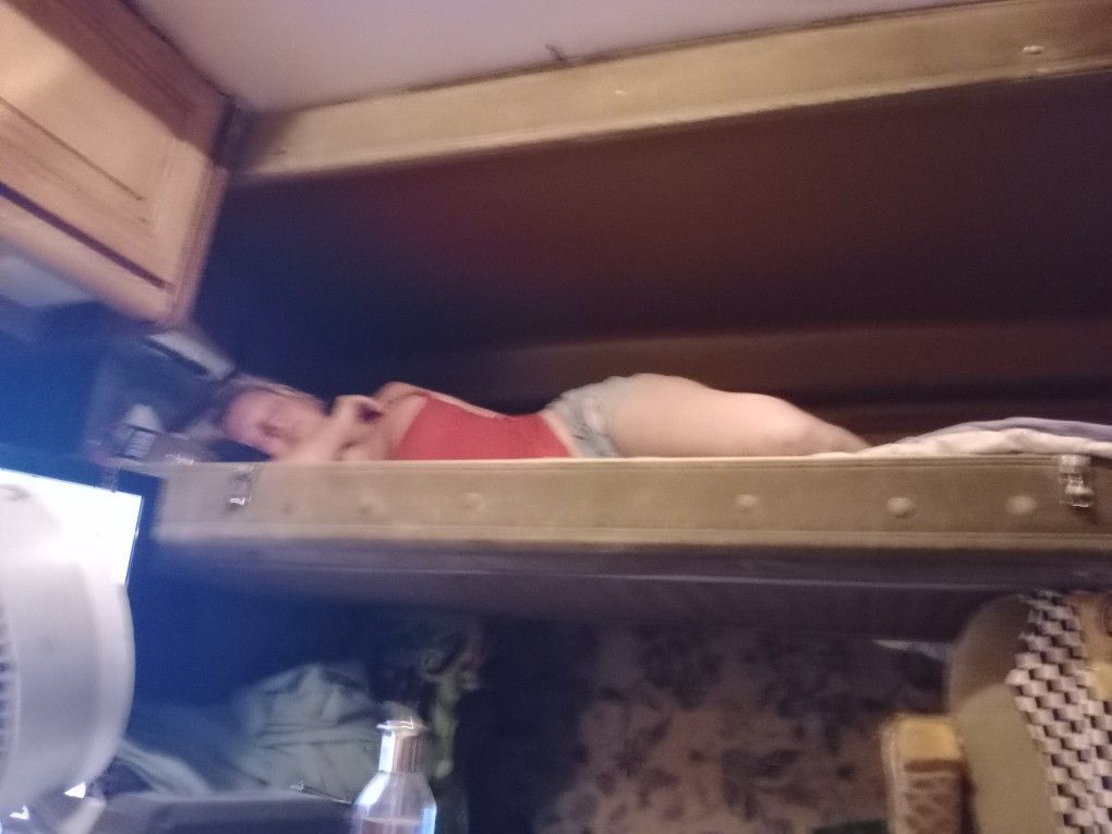 1984 Winnebago Aladdin