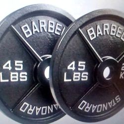 Weight Plates Pair 45lbs