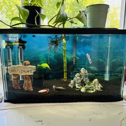 Fish Tank Full Set Up. 10 Gallons. Fish And Plants Included. 
