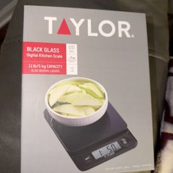 Taylor Black Glass Scale 