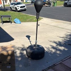 Punching Bag