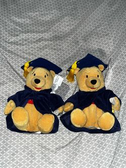 2x Graduation Winnie the Pooh