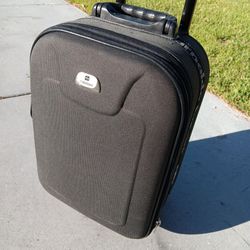 20" Arnoldo Bassini Luggage