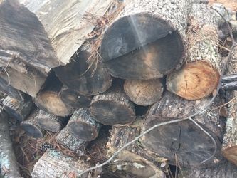 Seasoned Firewood
