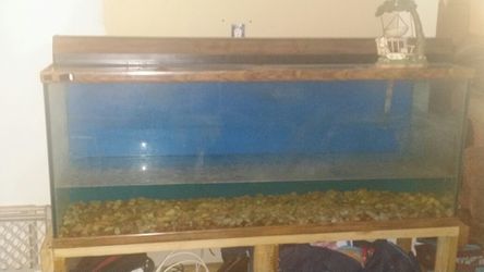 Aquarium fish tank 125 gallon