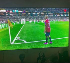 65”  LG OLED TV read post nice beautiful colors colors, nice sound.