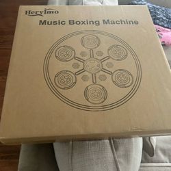 HERVIMO Music Boxing Machine for Kids Adults, Bluetooth Music Punching Machine Wall Mount, Smart Boxing Training Machine with Boxing Gloves, Boxing Wo