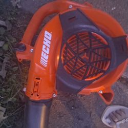 ECHO PB-2520 handheld leaf 