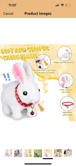 Eastern Bunny+3D Crafts 4 Packs 
