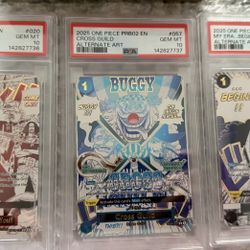 One Piece TCG Card Game