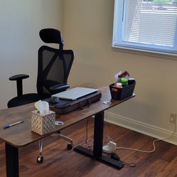 Home Office, New Desk, Chair, Bookcase
