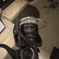 Fishing rod and reel