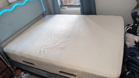 Avocado Eco friendly organic mattress