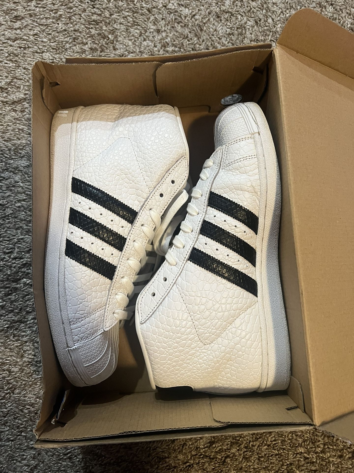 Adidas Hightop Snakeskin Shell Toe