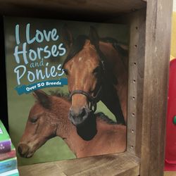Horse Book 