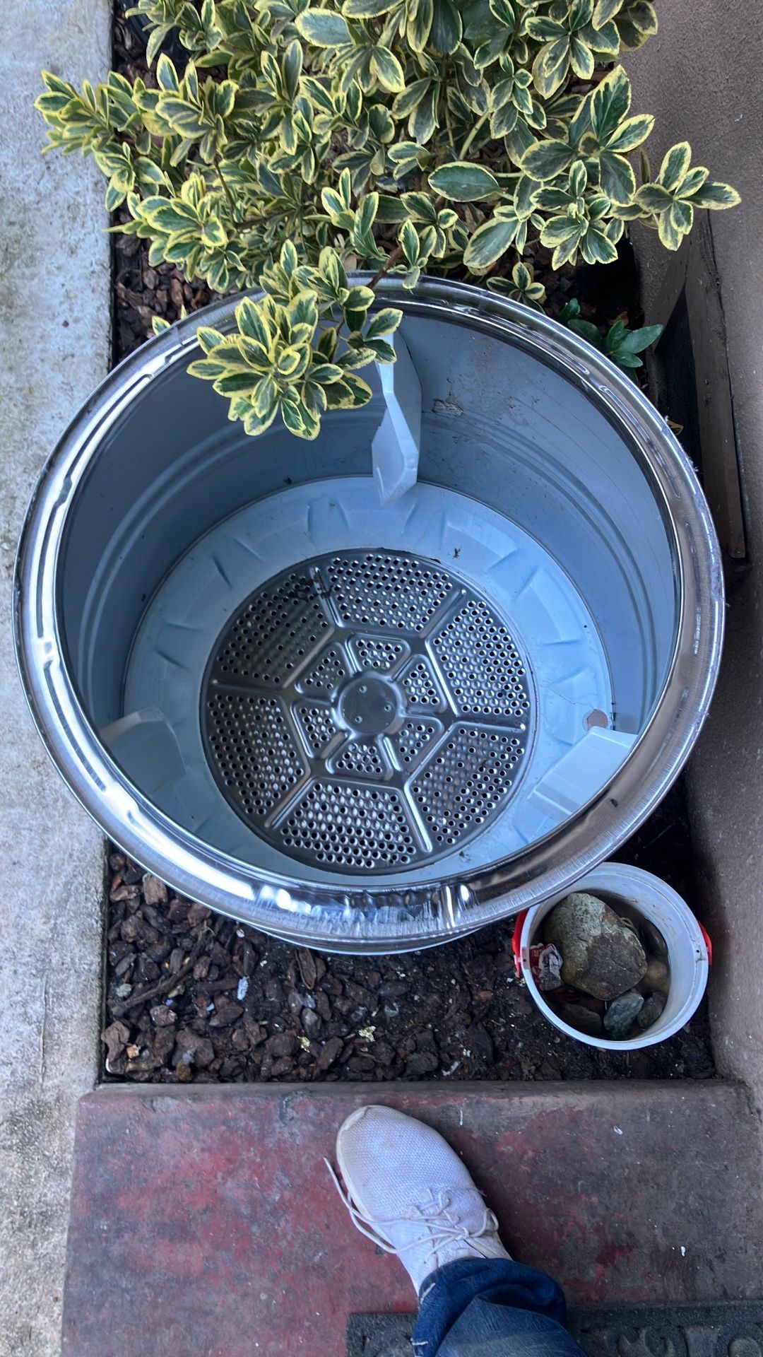 G E Dryer Drum Assembly