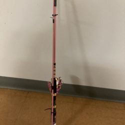 Roddy Lites Spinning Reel