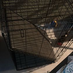Dog Cage