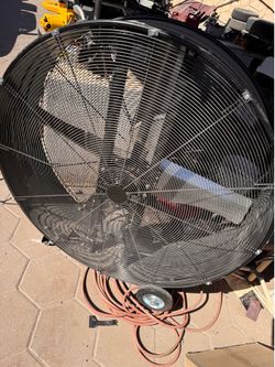 Fan