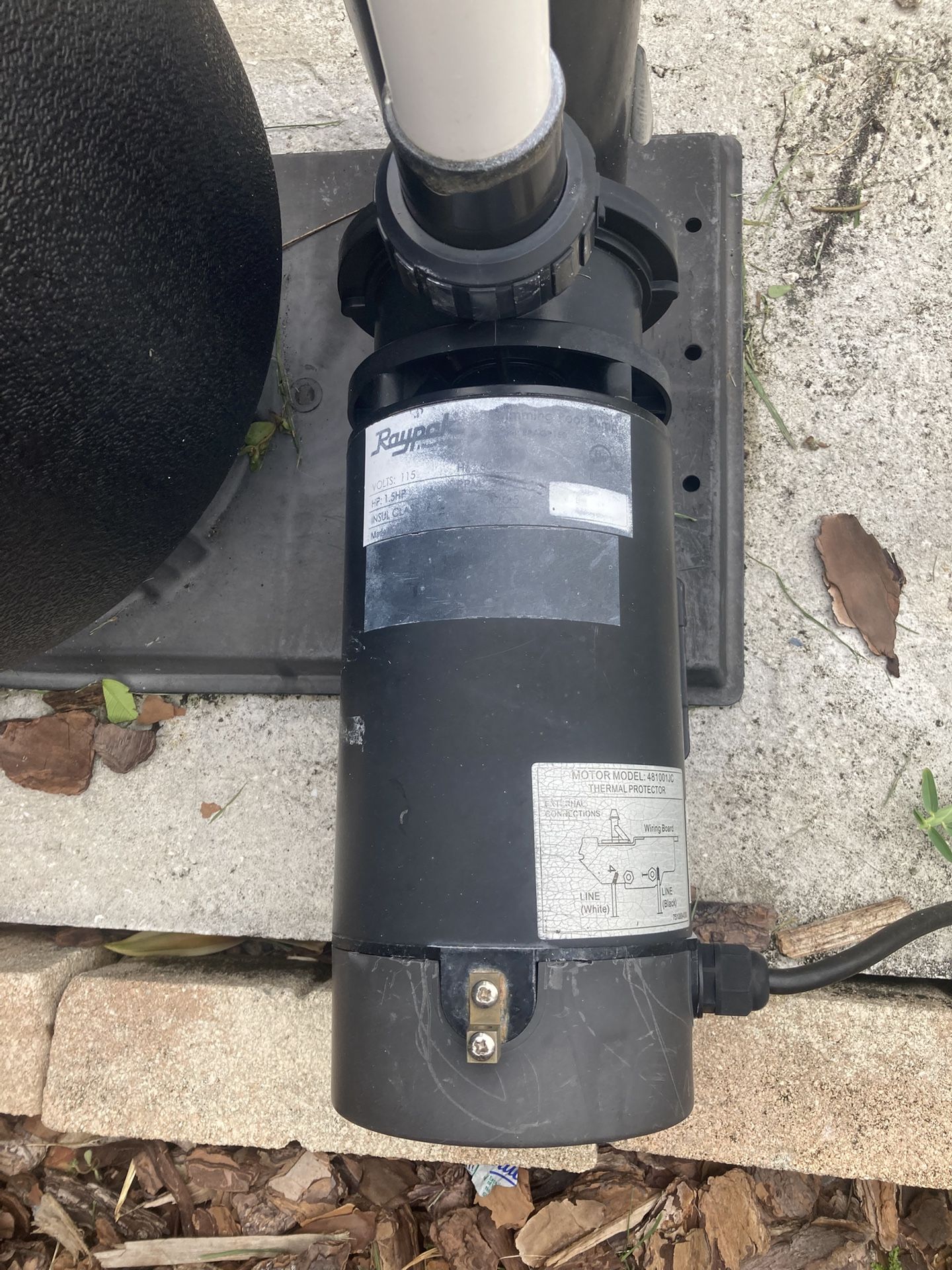 Pool motor
