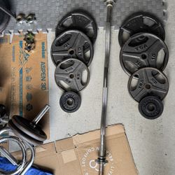 Curl Barbell With Weight 