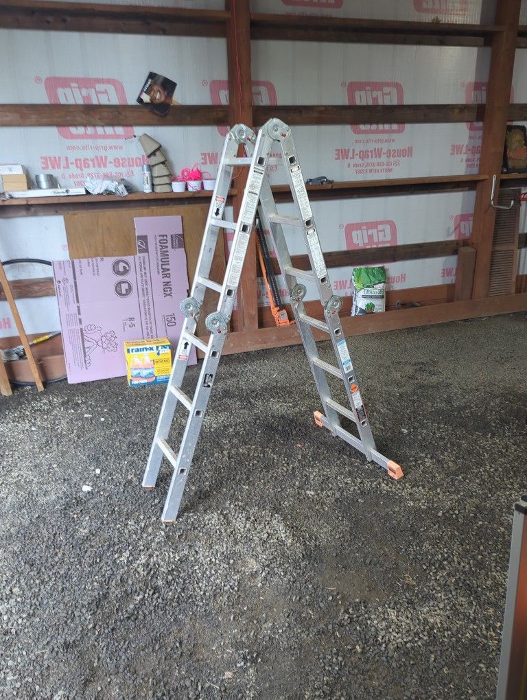Krause MultiMatic 12' Ladder