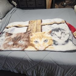 Blanket