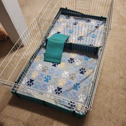 Guinea Pig/ Small Animal Enclosure 
