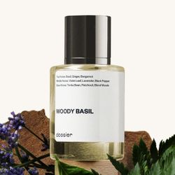 Dossier-Woody basil