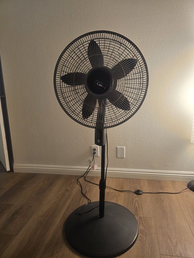 Fan For Sale