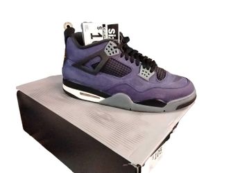 Jordan Fv5029-500 Purple