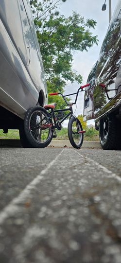Custom BMX bike TRADE FOR RC!!