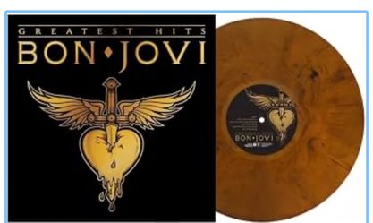 Bon Jovi vinyl Record