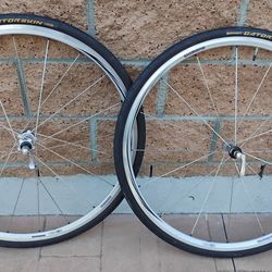 Shimano RS10 alloy wheelset w/ 28c Gatorskins