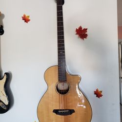 Breedlove Acoustic Bass