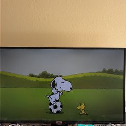 TCL Roku TV 4K 43”