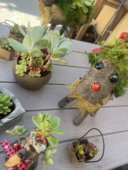 Reindeer